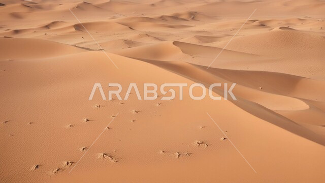 الجو الجاف والقاسي في الأراضي القاحلة، الرمال الذهبية الناعمة والكثبان في صحراء المملكة العربية السعودية, البيئة الرملية في وقت النهار، الهضاب والتلال في المناطق الطبيعية الصحراوية، خلفية الطبيعه