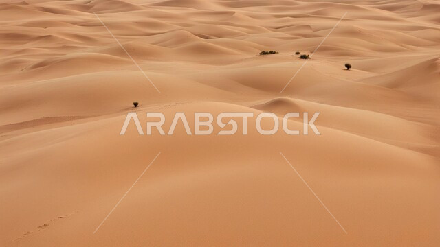 الجو الجاف والقاسي في الأراضي القاحلة، الرمال الذهبية الناعمة والكثبان في صحراء المملكة العربية السعودية, البيئة الرملية في وقت النهار، الهضاب والتلال في المناطق الطبيعية الصحراوية، خلفية الطبيعه