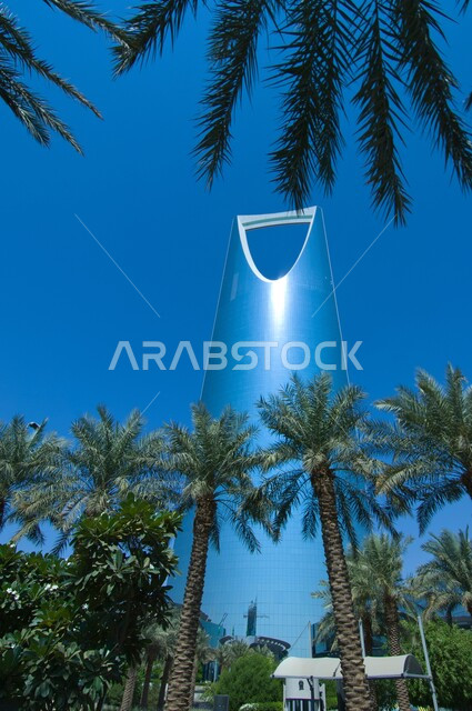 Famous tourist places and landmarks, architectural engineering art of buildings and skyscrapers in Riyadh, close-up photo from below of Kingdom Tower building and palm tree during daytime in the Kingdom, interest in trees and green nature in Saudi Arabia