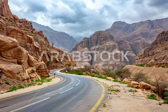 تسهيل التنقلات بين المناطق البرية والمدن، التطور والنمو العمراني في صحاري المملكة, شارع معبد لمرور السيارات وتسريع حركة المسافرين, طريق اسفلتي ممتد على طول الصحراء, تشكل الكثبان والتلال الرملية, البيئة الصحراوية الجافة في السعودية