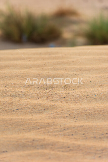 التشكلات و التضاريس الرملية الكثيفة, كثبان الرمال الذهبية الناعمة في الصحراء, المناظر الطبيعية في صحاري الإمارات العربية المتحدة, الطبيعة الصحراوية في مدينة دبي