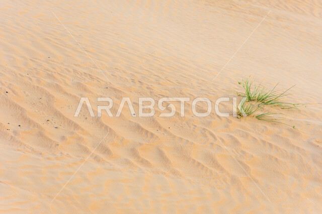 الطبيعة الصحراوية في مدينة دبي, التشكلات و التضاريس الرملية الكثيفة, كثبان الرمال الذهبية الناعمة في الصحراء, المناظر الطبيعية في صحاري الإمارات العربية المتحدة