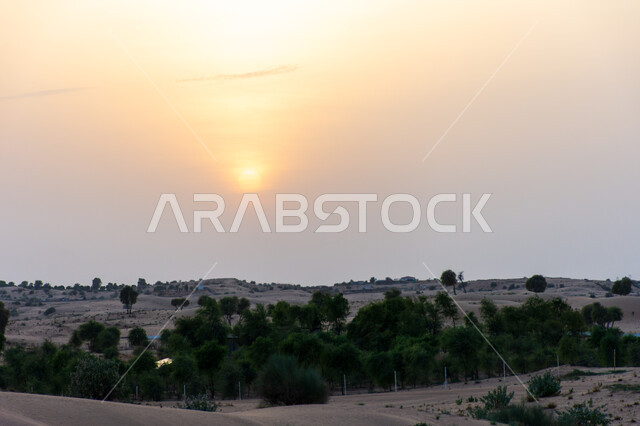 منظر غروب الشمس على الرمال الذهبية الناعمة في الصحراء, المناظر الطبيعية في صحاري الإمارات العربية المتحدة, الطبيعة الصحراوية في مدينة دبي, التشكلات و التضاريس الرملية الكثيفة