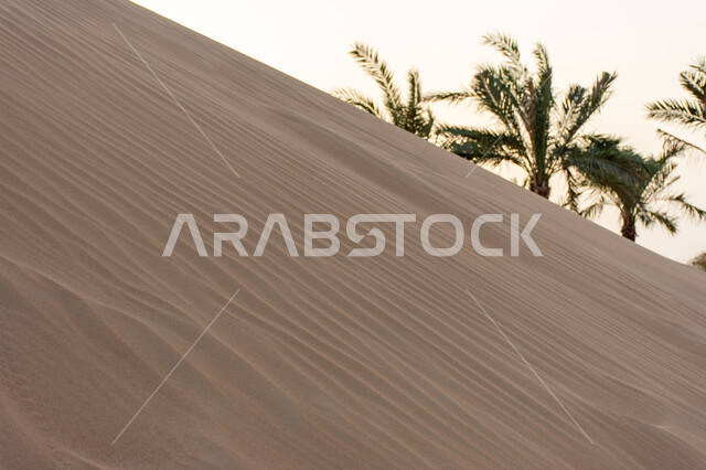 Dense sand formations and terrain, soft golden sand dunes in the desert, landscapes in the deserts of the United Arab Emirates, desert nature in the city of Dubai