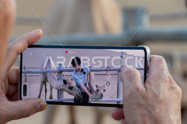 سائح أجنبي يسجل فيديو بالهاتف المحمول لابنه وهو يطعم الجمال في الصحراء في مدينة دبي، الأماكن السياحية الطبيعية في الإمارات العربية المتحدة,  الكثبان الرملية في صحاري الخليج العربي، اكتشاف الثقافة العربية