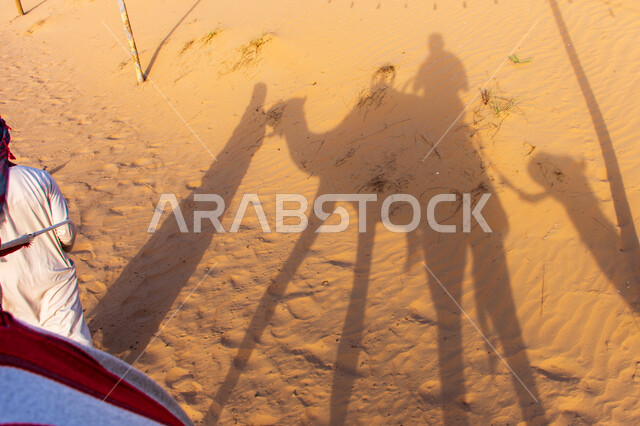انعكاس ظلال لقافلة سياح يركبون الجمال في الصحراء في مدينة دبي، الاهتمام في رعاية الابل ،تربيه الحيوانات والمواشي في أحد المحميات الطبيعيه في الامارات العربية المتحدة، مفهوم السفر على وسائل النقل القديمة