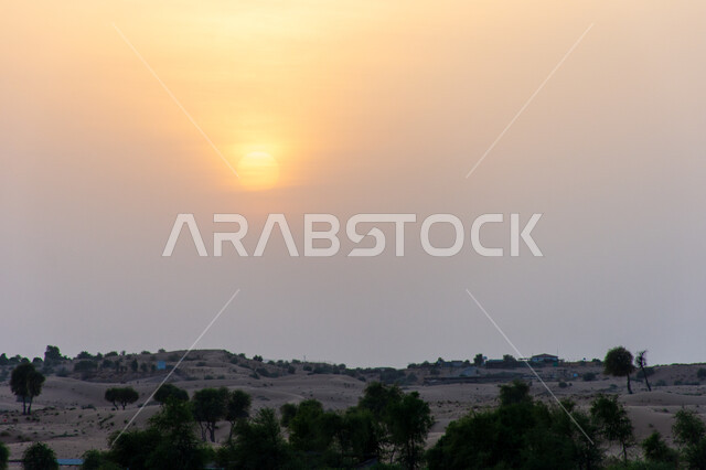 منظر غروب الشمس على كثبان الرمال الذهبية الناعمة في الصحراء, المناظر الطبيعية في صحاري الإمارات العربية المتحدة, الطبيعة الصحراوية في مدينة دبي, التشكلات و التضاريس الرملية الكثيفة