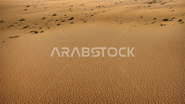 التضاريس والبيئة الجافة في الصحاري الواسعة، الكثبان والتلال الرملية اللامعة تحت أشعة الشمس وقت النهار، الرمال الذهبية الناعمة في المناطق الصحراوية في المملكة العربية السعودية، خلفية الطبيعة