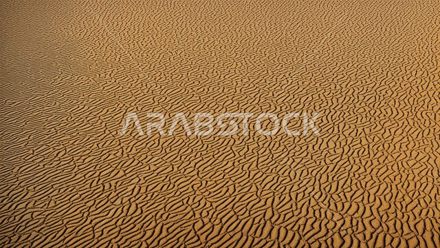 التضاريس والبيئة الجافة في الصحاري الواسعة، الكثبان والتلال الرملية اللامعة تحت أشعة الشمس وقت النهار، الرمال الذهبية الناعمة في المناطق الصحراوية في المملكة العربية السعودية، خلفية الطبيعة
