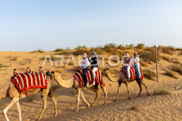 قافلة للسياح يركبون الجمال في الصحراء في مدينة دبي, أماكن رحلات السفاري البرية الترفيهية الممتعة, مناطق سياحية طبيعية في الإمارات العربية المتحدة, منظر الكثبان الرملية في الصحاري