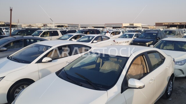 صفوف المركبات بالماركات العالمية المختلفة في أسواق الشفا بمدينة الرياض، سوق بيع وشراء السيارات المستعملة، حركة التجارة الداخلية في المملكة العربية السعودية، جذب الزبائن والمستهلكين عن طريق طريقة عرض السيارة المميزة