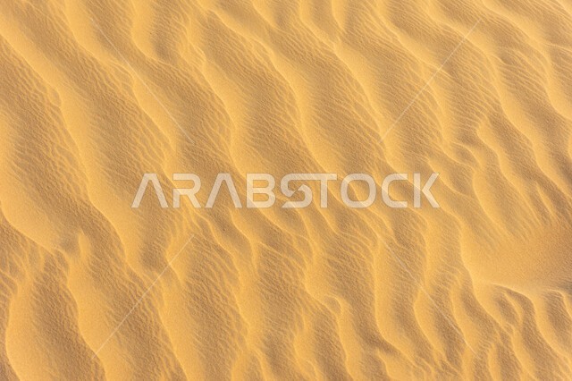 الكثبان و التشكلات الرملية اللامعة تحت أشعة الشمس في وقت النهار، الرمال الذهبية الناعمة في المناطق الصحراوية في مدينة دبي، التضاريس والبيئة الجافة في صحاري الإمارات العربية المتحدة