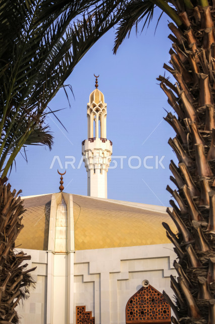 جامع حسن عناني هو أحد الجوامع الكبيرة بمدينة جدة ، يقع على كورنيش جدة ، معالم سياحية ، مناظر طبيعية ، جمال السعودية