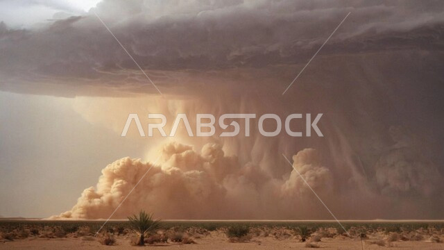 A windstorm hits the desert, a whirlwind of sand flying in the air, the sandy and mountainous nature of the Kingdom, the stormy, raging atmosphere laden with dust and dirt in the deserts of Saudi Arabia