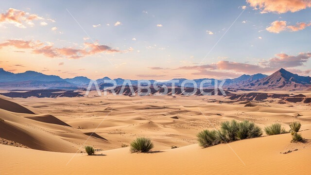 نمو النباتات الخضراء والأعشاب البرية في الأراضي الصحراوية، منظر غروب الشمس على الرمال الذهبية الناعمة والكثبان الرملية، التكوينات والتشكيلات الجبلية في الصحاري, سماء مبلدة بالغيوم فوق صحراء المملكة العربية السعودية