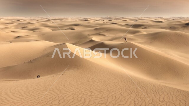 التضاريس و المرتفعات والقمم في البراري، التكوينات والتشكلات الرملية في صحراء المملكة العربية السعودية, مناطق البادية والبيئة الصحراوية في النهار, الكثبان والتلال من الرمال الناعمة الذهبية