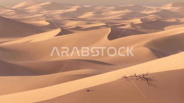 التضاريس و المرتفعات والقمم في البراري، التكوينات والتشكلات الرملية في صحراء المملكة العربية السعودية, مناطق البادية والبيئة الصحراوية في النهار, الكثبان والتلال من الرمال الناعمة الذهبية