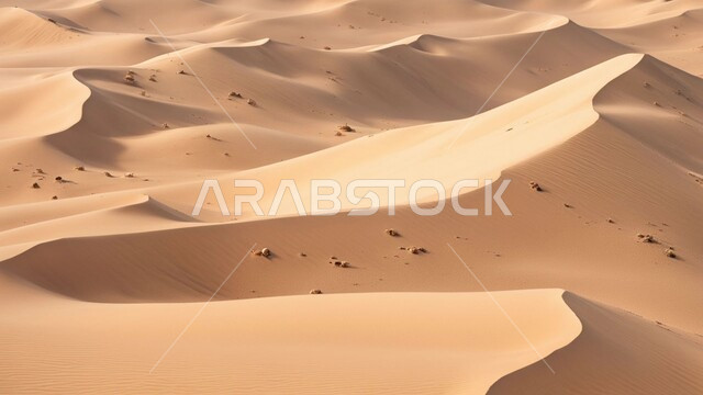 التضاريس و المرتفعات والقمم في البراري، التكوينات والتشكلات الرملية في صحراء المملكة العربية السعودية, مناطق البادية والبيئة الصحراوية في النهار, الكثبان والتلال من الرمال الناعمة الذهبية