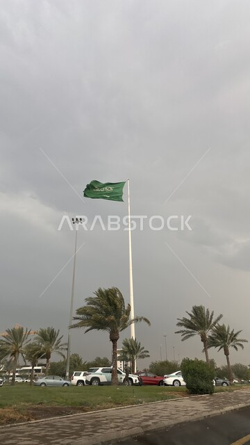 الاهتمام بزراعة أشجار النخيل، الأعياد و المناسبات الوطنية ،علم المملكة العربية السعودية يرفرف في السماء، ذكرى العيد الوطني 23 سبتمبر، الاحتفال بيوم العلم 11 مارس، راية التوحيد والإسلام وشعار الهوية الوطنية، حركة مرور السيارات في شوارع المدينة المنورة