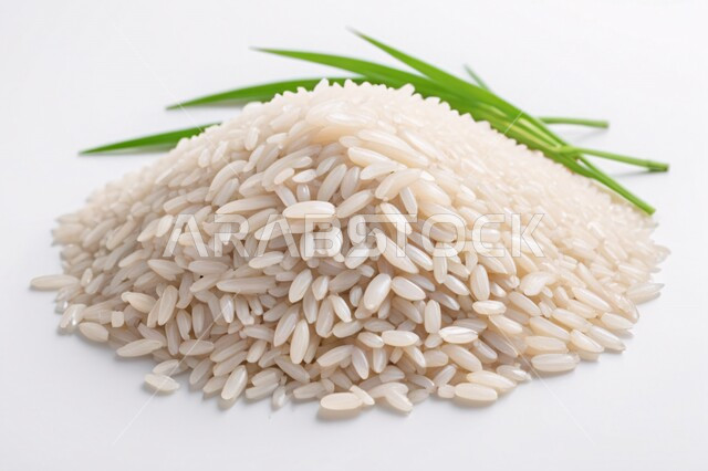 Rice crop, uncooked white rice, white rice scattered on the ground, agricultural crops, portrait image with white background full of rice grains