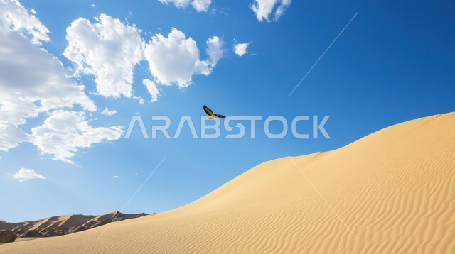 مفهوم الافتراس وحدة البصر, الطيور الجارحة وحياة الحيوانات البرية, طائر الصقر يحلق في السماء الصافية في صحراء المملكة العربية السعودية, تنوع الثروة الحيوانية