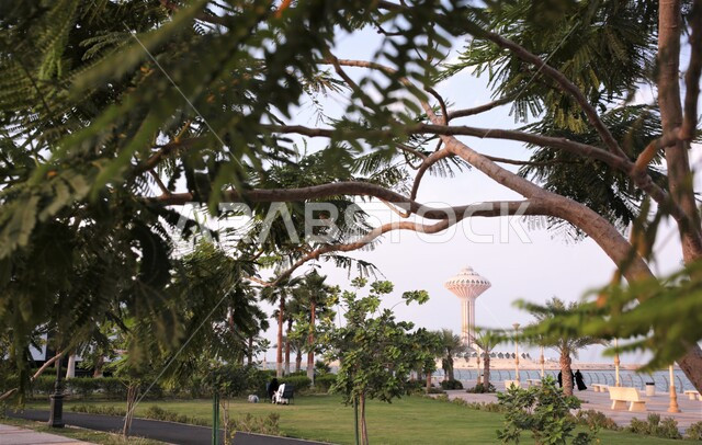 كورنيش الخبر ، حدائق ترفيهية سياحية، منتزه الردف في مدينة الطائف، حديقة عامة في المملكة العربية السعودية، أماكن ومناطق عائلية للتنزه والترفيه والمتعة، المروج والأشجار والنباتات الخضراء، منظر الغيوم في السماء