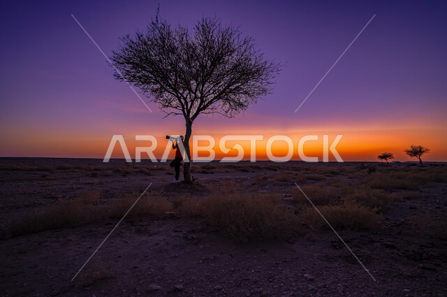 منظر غروب الشمس في الصحراء, الطبيعة الصحراوية و البيئة الجافة في صحاري المملكة العربية السعودية, نمو الأشجار و النباتات الشوكية, التضاريس و التشكلات الرملية و الصخرية, الرمال الناعمة الكثيفة