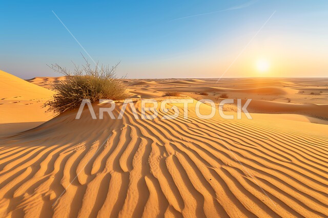 البيئة الرملية وقت غروب الشمس، الهضاب والتلال في المناطق الطبيعية الصحراوية، الرمال الذهبية الناعمة والكثبان في صحراء المملكة العربية السعودية، نمو النباتات البرية في الصحاري، خلفية الطبيعه