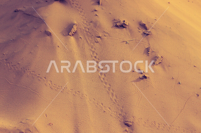 الطبيعة في السعودية ، الكثبان الرملية ، صحاري السعودية