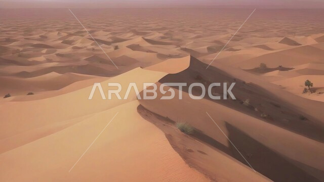 نبات الصبار الشوكي على الرمال الذهبية الناعمة في المناطق الصحراوية، نمو الشوكيات والأعشاب في براري المملكة العربية السعودية، النباتات والمزروعات البرية في المحميات الطبيعية، الكثبان والمرتفعات الرملية في الصحراء