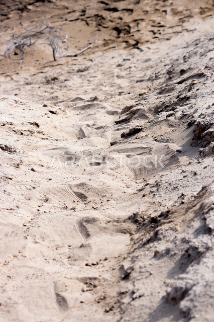 الطبيعة في السعودية ، الكثبان الرملية ، صحاري السعودية