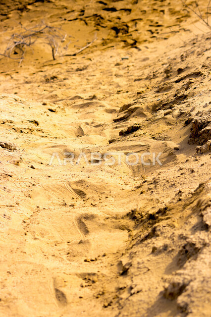 الطبيعة في السعودية ، الكثبان الرملية ، صحاري السعودية