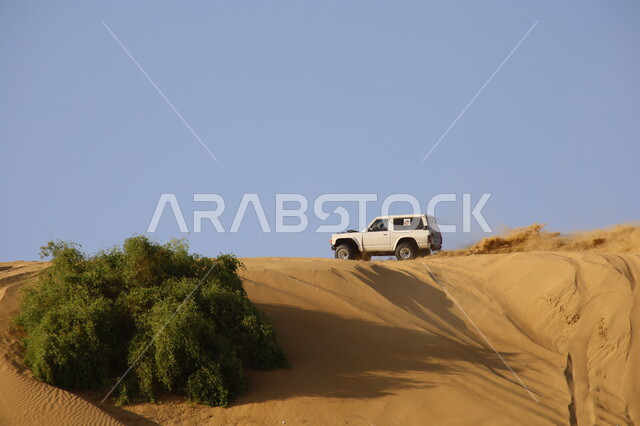 التسابق على الرمال الذهبية الناعمة، المسابقات و الفعاليات المشهورة، سباق رالي داكار في المملكة العربية السعودية، رياضة التطعيس بالسيارات الترابية في المناطق الصحراوية، التحديات الحماسية والأنشطة الترفيهية، بطولة العالم للراليات