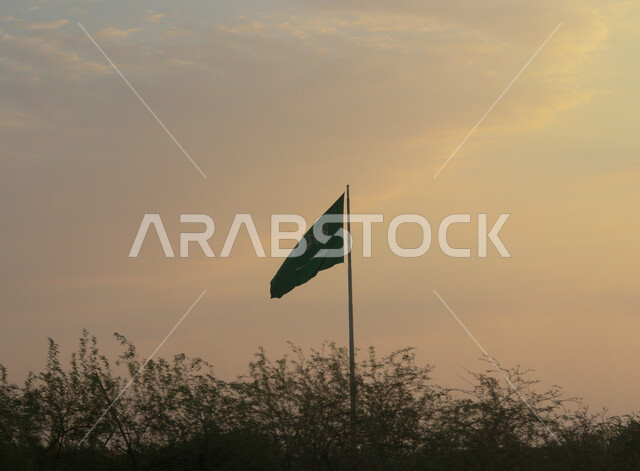 استذكار اليوم الوطني السعودي في 8 سبتمبر, راية التوحيد والإسلام ترفرف في سماء المملكة, المناسبات الوطنية السعودية, صورة مقربة للعلم الوطني السعودي في يوم العلم 11 مارس, لا اله الا الله محمد رسول الله, خلفية السماء الزرقاء