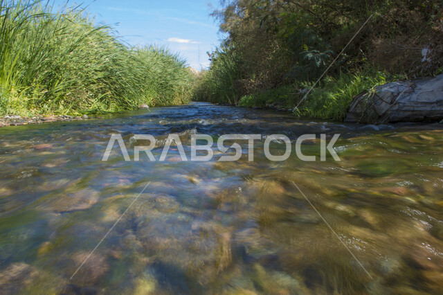 وادي وج في الطائف بالمملكة العربية السعودية , جمال المناظر الطبيعية الجميلة لتيار المياه النقي في وادي وج بالطائف , جمال الطبيعة الخلابة بالمملكة ، أماكن سياحية ترفيهيه في وادي وج بالطائف