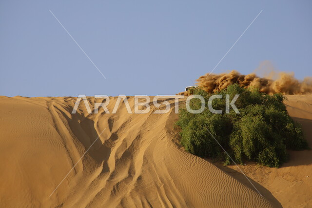 فعاليات ترفيهية تجذب السياح، ركوب السيارة على الكثبان والتلال الرملية, القيام بمغامرات بواسطة مركبة الدفع الرباعي في صحاري المملكة, هواية التطعيس بالسيارات, قيادة المركبات في صحراء ناوان بمنطقة الباحة, المشاركة في السباقات السعودية