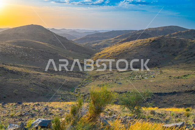 مناظر الطبيعة الجبلية المتميزة على الهضاب والمرتفعات في المملكة العربية السعودية، جبال دقة الخضراء الخصبة في منطقة شفا في مدينة الطائف، منظر الغيوم البيضاء في السماء، الاهتمام بالتشجير والزراعة