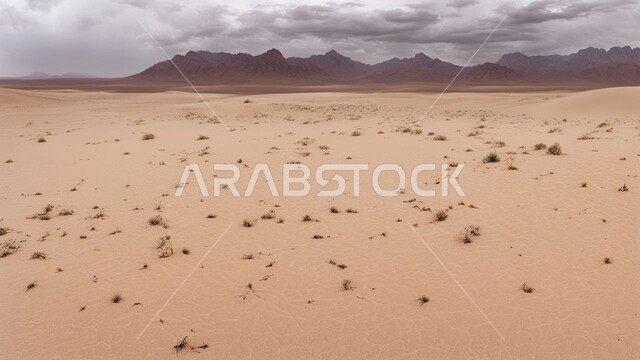 الكثبان والرمال الذهبية الناعمة، منظر الإعصار الهوائي في الصحراء, الظواهر والكوارث الطبيعية،  التشكيلات والتكوينات الرملية في المملكة العربية السعودية, النباتات والشوكيات البرية، الزوابع الغبارية القوية في الصحاري