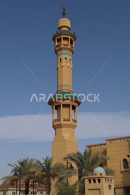 أماكن لأداء الفرائض الدينية و الصلوات, الفن الهندسي المعماري لبناء المساجد في المملكة العربية السعودية, مفهوم العبادة و التقرب إلى الله تعالى، تصاميم القبب والمآذن المزخرفة على الطراز الإسلامي، جامع في مدينة الرياض وقت النهار