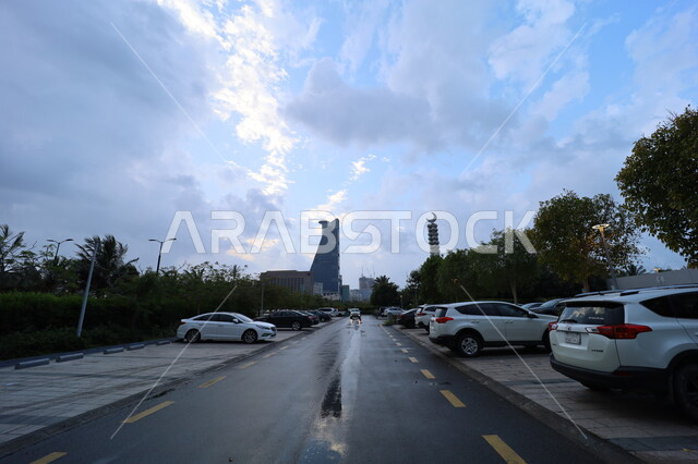 الواجهة البحرية في السعودية, معالم السياحة المشهورة, برج الكورنيش الجديد في المدينة الساحلية, النمو والتطور العمراني للمنشآت وناطحات السحاب في مدينة جدة, الأجواء الغائمة والسماء الملبدة بالغيوم, أشجار النخيل والنباتات الخضراء في طرقات وشوارع المدن السياحية