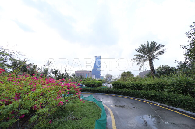 الواجهة البحرية في السعودية, معالم السياحة المشهورة, برج الكورنيش الجديد في المدينة الساحلية, النمو والتطور العمراني للمنشآت وناطحات السحاب في مدينة جدة, الأجواء الغائمة والسماء الملبدة بالغيوم, أشجار النخيل والنباتات الخضراء في طرقات وشوارع المدن السياحية