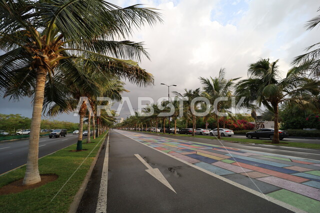 الأجواء الغائمة والسماء الملبدة بالغيوم, أشجار النخيل والنباتات الخضراء في طرقات المدن السياحية، مسار الدراجات الملون في الشوارع، معالم السياحة المشهورة في السعودية، حركة مرور السيارات في المدينة الساحلية, النمو والتطور العمراني للمنشآت وناطحات السحاب في جدة