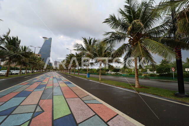 الأجواء الغائمة والسماء الملبدة بالغيوم, أشجار النخيل والنباتات الخضراء في طرقات المدن السياحية، مسار الدراجات الملون في الشوارع، معالم السياحة المشهورة في السعودية، حركة مرور السيارات في المدينة الساحلية, النمو والتطور العمراني للمنشآت وناطحات السحاب في جدة