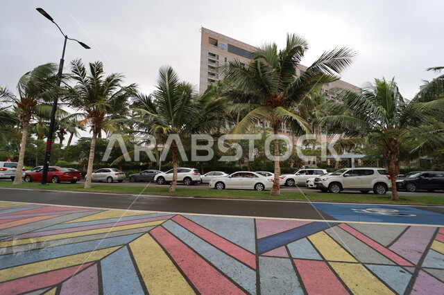 حركة مرور السيارات في المدينة الساحلية, النمو والتطور العمراني للمنشآت وناطحات السحاب في جدة, الأجواء الغائمة والسماء الملبدة بالغيوم, أشجار النخيل والنباتات الخضراء في طرقات المدن السياحية، مسار الدراجات الملون في الشوارع، معالم السياحة المشهورة في السعودية