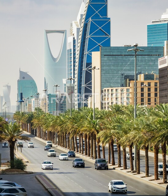 الاهتمام بزراعة الأشجار و النباتات في المدن، حركة المرور في طرق وشوارع المملكة، النمو والتطور العمراني للمنشآت والمباني السكنية والتجارية في السعودية، الفن الهندسي المعماري على الطراز الحديث لناطحات السحاب المشهورة في مدينة الرياض