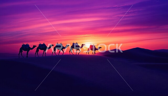 Interest in raising and caring for mammals, formations of hills and sand dunes, using camels to move in the deserts of the Kingdom of Saudi Arabia, a silhouette of a caravan of camels.