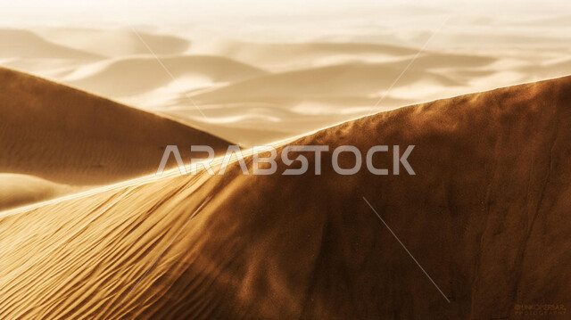 الرمال الذهبية الناعمة في مناطق الطبيعة الصحراوية, صورة مقربة للتكوينات والتشكيلات الرملية في البيئة الجافة، التضاريس والتلال والكثبان اللامعة في صحراء المملكة العربية السعودية