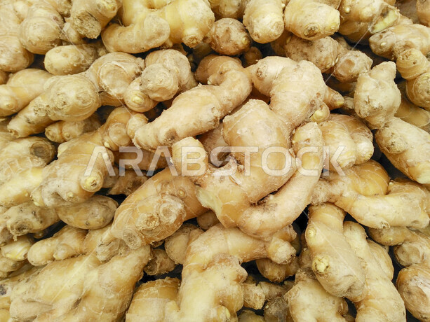 صورة مقربة لنبات الزنجبيل الطازج ، جذر الزنجبيل ، توابل وبهارات الزنجبيل الطازج