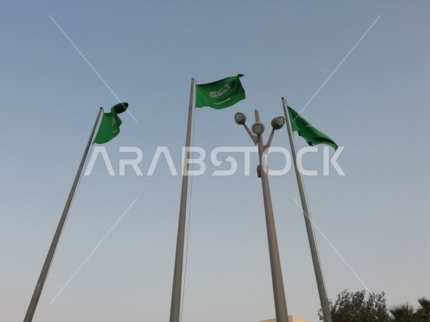 اعلام المملكة العربية السعودية ترفرف في سماء السعودية ، الاحتفال باليوم الوطني السعودي ، العيد الوطني السعودي
