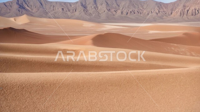 مناطق البادية والبيئة الطبيعية في الصحاري، الرمال الذهبية الناعمة المتموجة في وسط الصحراء وقت النهار، التشكلات والتكوينات الرملية في المملكة العربية السعودية، التلال والهضاب في المناطق الصحراوية، خلفية الطبيعة